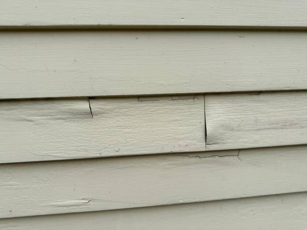 Historical Building Siding Restoration in Kayenta, AZ